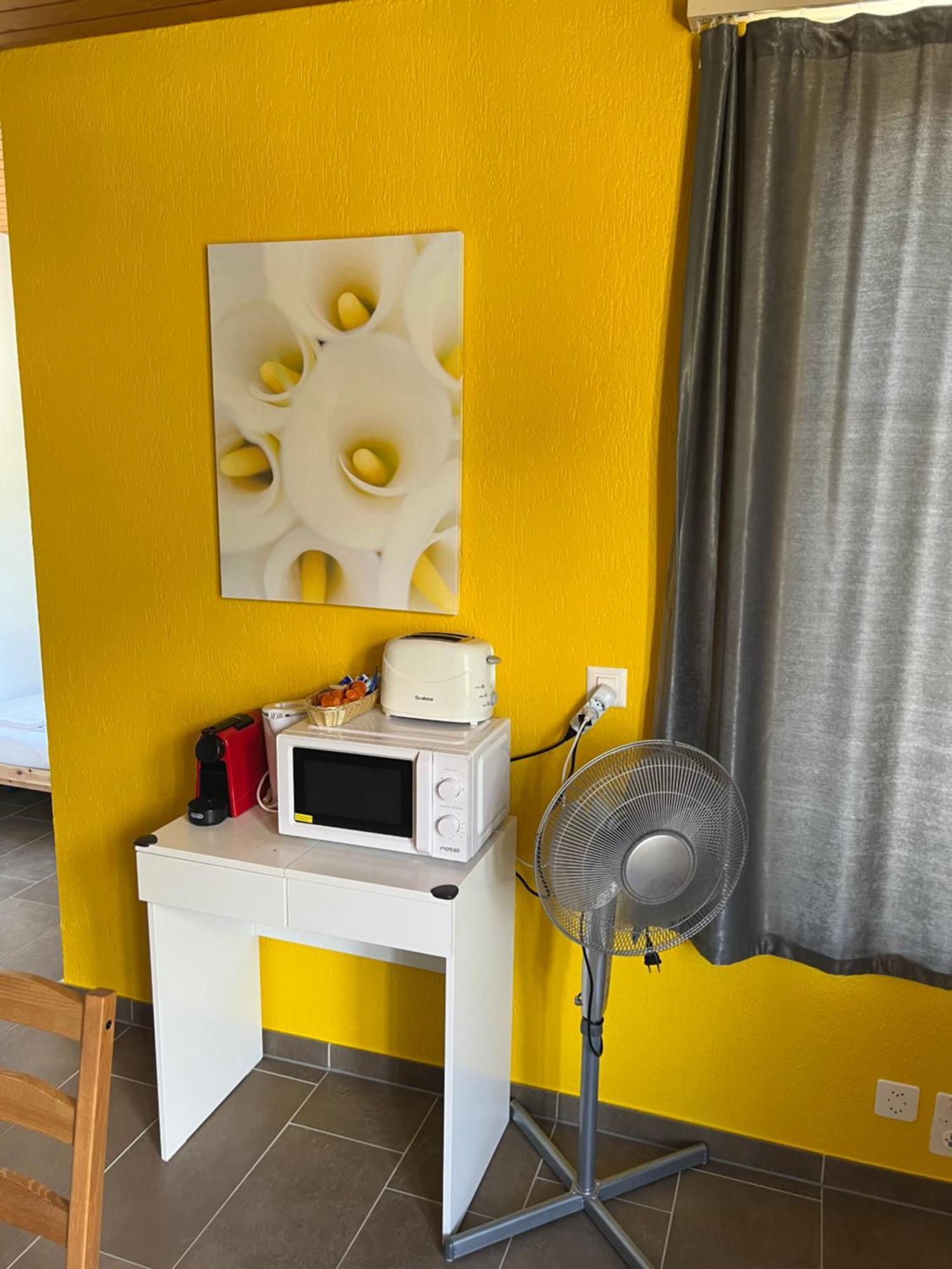 Apartament Rosy إنترلاكن المظهر الخارجي الصورة